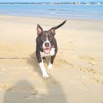 Profile Picture of Davide Pagliaroli (@davide.pagliaroli) on Facebook