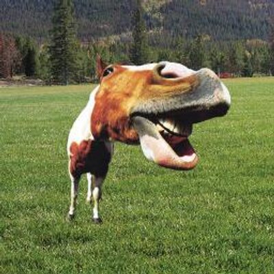 Profile Picture of Joseph Smithers (@Joseph_Smithers) on Twitter