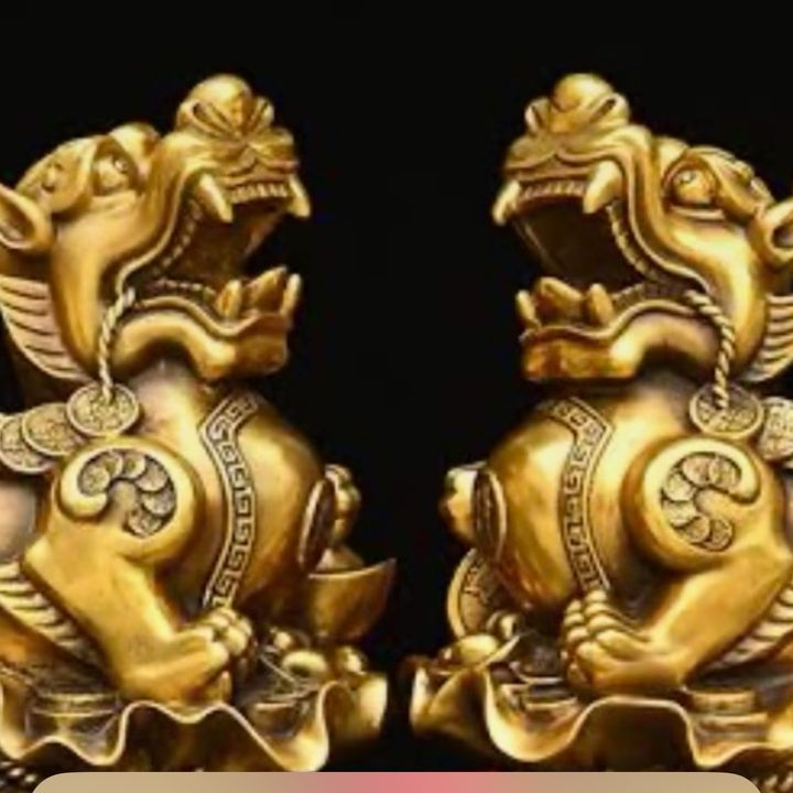 Profile Picture of Ping❤️tong (@ping_tong) on Tiktok