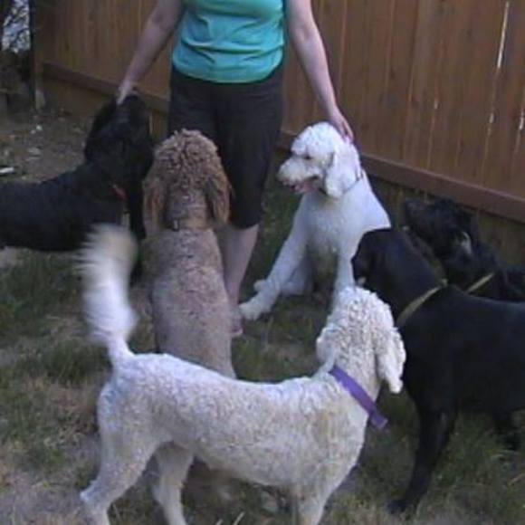 Profile Picture of Lori Dasilva (@ledasilva143) on Poshmark