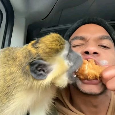 Profile Picture of jamesbaldridge141 (@@jamesbaldridge141) on Tiktok