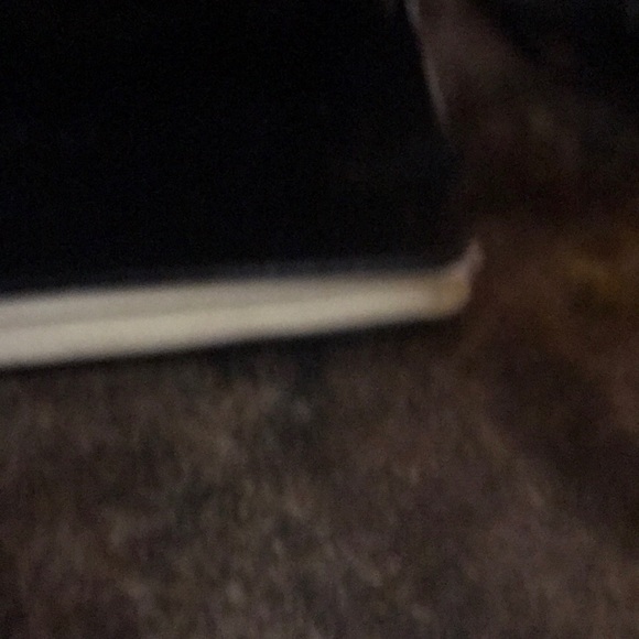 Profile Picture of Pat Perry (@heypatyeah) on Poshmark