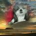 Profile Picture of Angel Dobbs (@angel.dobbs.3) on Facebook