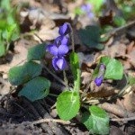 Profile Picture of Faye (@fayeneilla95) on Instagram