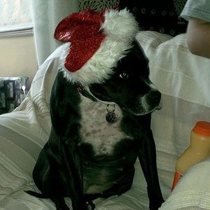 Profile Picture of Jo Riley (@riley_jo) on Myspace