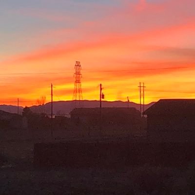 Profile Picture of Lacy Ludwig (@LacyLudwig1) on Twitter