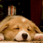 Profile Picture of Saku H (@heikkinen.saku98) on Flickr