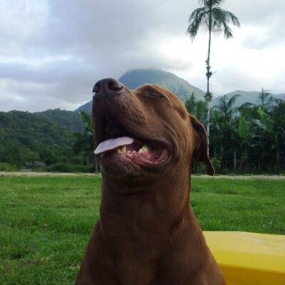 Profile Picture of Alexandre Matteï (@@AlexMattei) on Twitter