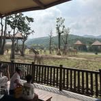 Profile Picture of Nancy Feng (@nancy.feng.7334) on Facebook