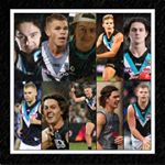 Profile Picture of Taylor Hoffmann (@pafc_collages_) on Instagram
