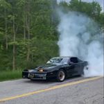 Profile Picture of The Bandit (@brodie_martin_) on Instagram