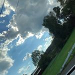 John Daley - Instagram Profile Picture of John Daley (@johndaley17) on Instagram