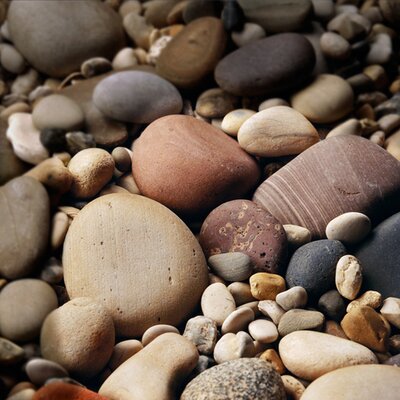 Tzokas - Twitter Profile Picture of Tzokas (@tzokas1978) on Twitter