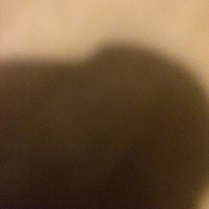 Profile Picture of Shakyla (@kyla000000) on Myspace