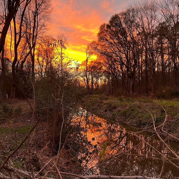 Profile Picture of Trevor R (@yo_boy_trev) on Tiktok