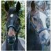 Profile Picture of Dawn Pearson (@dawn.pearson.3154) on Facebook