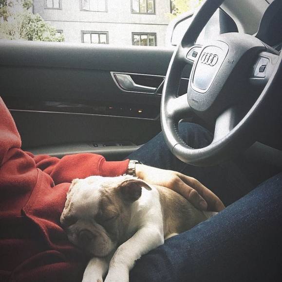 Profile Picture of Budimir Krga (@budimirkrga) on Poshmark