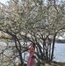 Profile Picture of Hannah Huynh (@hannah.huynh.5) on Facebook