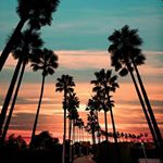 Profile Picture of Taylor Harker (@taytays_photography_) on Instagram