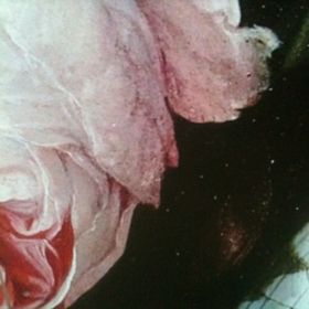 Profile Picture of Pauline (@hauptpauline) on Pinterest