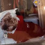 Profile Picture of Laura Carney (@laura.carney.375155) on Facebook