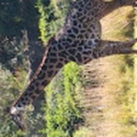 Profile Picture of Chris Reiss (@chris-reiss-13) on Quora