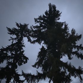 Profile Picture of Lisa hranek (@hraneklm) on Pinterest