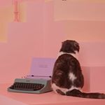 Profile Picture of Jeehee kim (@illusillus) on Instagram