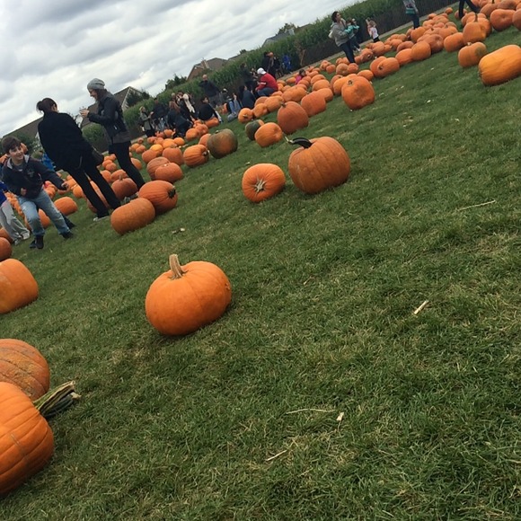 Profile Picture of Linda Wallow (@secretgirl786) on Poshmark