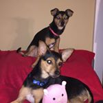 Profile Picture of Olivia Lowery (@the_twinz_for_life) on Instagram