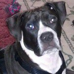 Profile Picture of virginiaseevers (@virginiaseevers) on Instagram