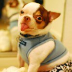 Profile Picture of Speedy 👼🏼 Sammi 💗 (@speedyboyboy) on Instagram