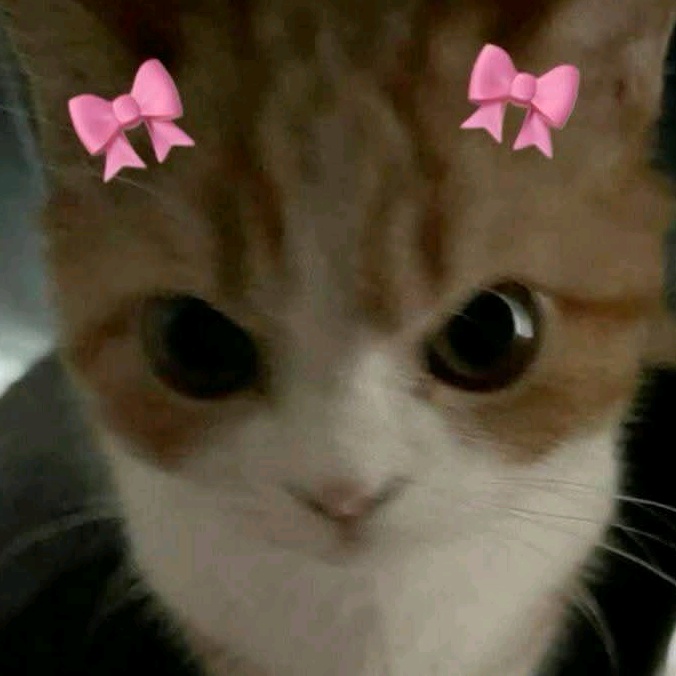 Profile Picture of Nànhtomluu (@nannhtomluu) on Tiktok