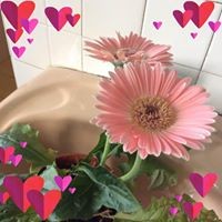 Profile Picture of Laida Lee (@laida-lee) on Quora