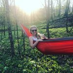 Profile Picture of Haley Waggoner (@haleywaggoner) on Instagram
