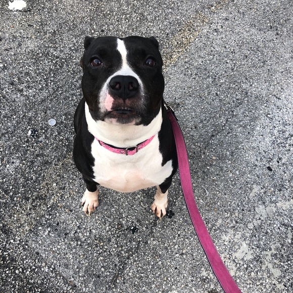 Profile Picture of Ana Bicet (@anabicet305) on Poshmark