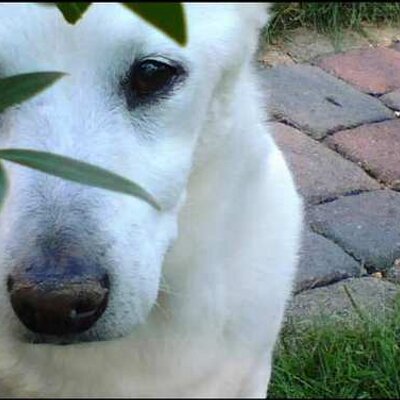 Profile Picture of Michelle Danielson (@LoveDaUP) on Twitter