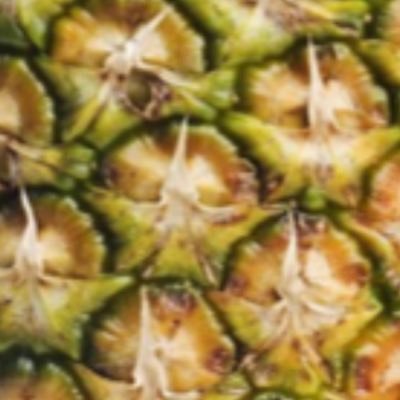 Profile Picture of Michael DeRose (@bitesizedhosp) on Twitter