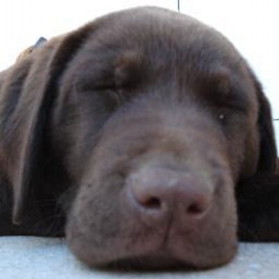 Profile Picture of Michael Schauer (@bountcer) on Twitter