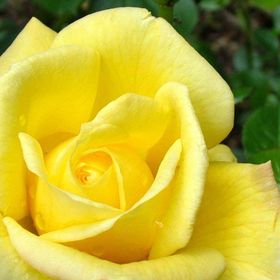 Debbie Charles Brooks - Pinterest Profile Picture of Debbie Charles Brooks (@mrsgar2) on Pinterest