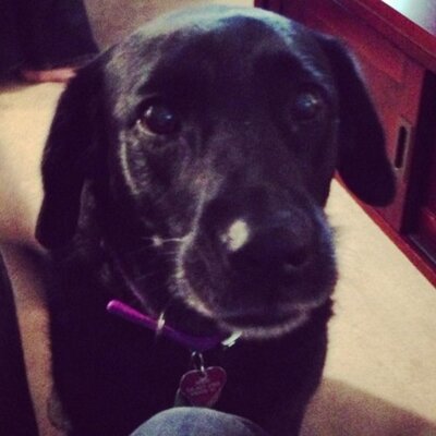 Profile Picture of Erin Tobin (@urntoob) on Twitter