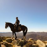 Profile Picture of Steve Tierney (@stevie_tierney) on Instagram