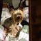 Profile Picture of JoAnn Ricks (@joann.ricks.58) on Facebook
