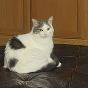 Profile Picture of Rocio Ceballos (@pichardorocio) on Youtube