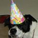 Profile Picture of Heather Siebert (@hdsiebert1320) on Pinterest