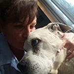 Jodi Trimble Redding - Instagram Profile Picture of Jodi Trimble Redding (@jodi.redding) on Instagram