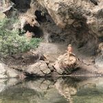 Profile Picture of Alma Laura (@almalaura.8) on Instagram