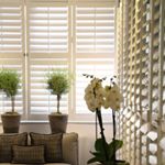 Profile Picture of Daniel Giger (@livingshutters) on Instagram