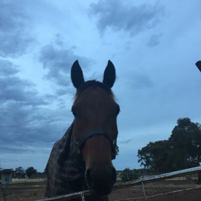 Profile Picture of Stacie Carbone (@StacieCarbone) on Twitter