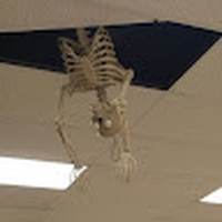 Profile Picture of David Maccormack (@david-maccormack-1) on Quora